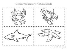 ocean vocabulary ocean vocabulary