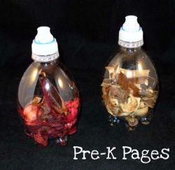 smelly bottles sensory bottle