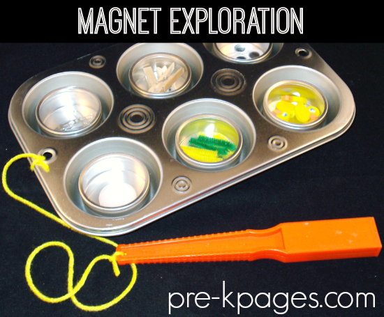 Muffin Tin Magnet Exploration Board