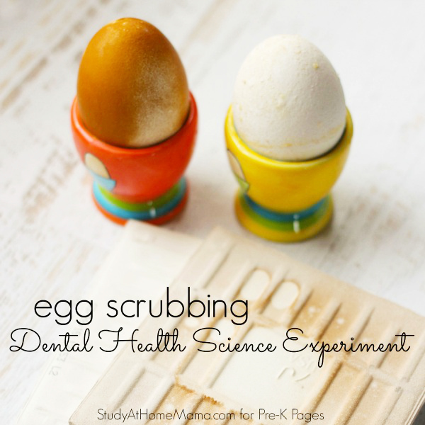 Egg Shell Dissolving Science Experiment that Simulates 