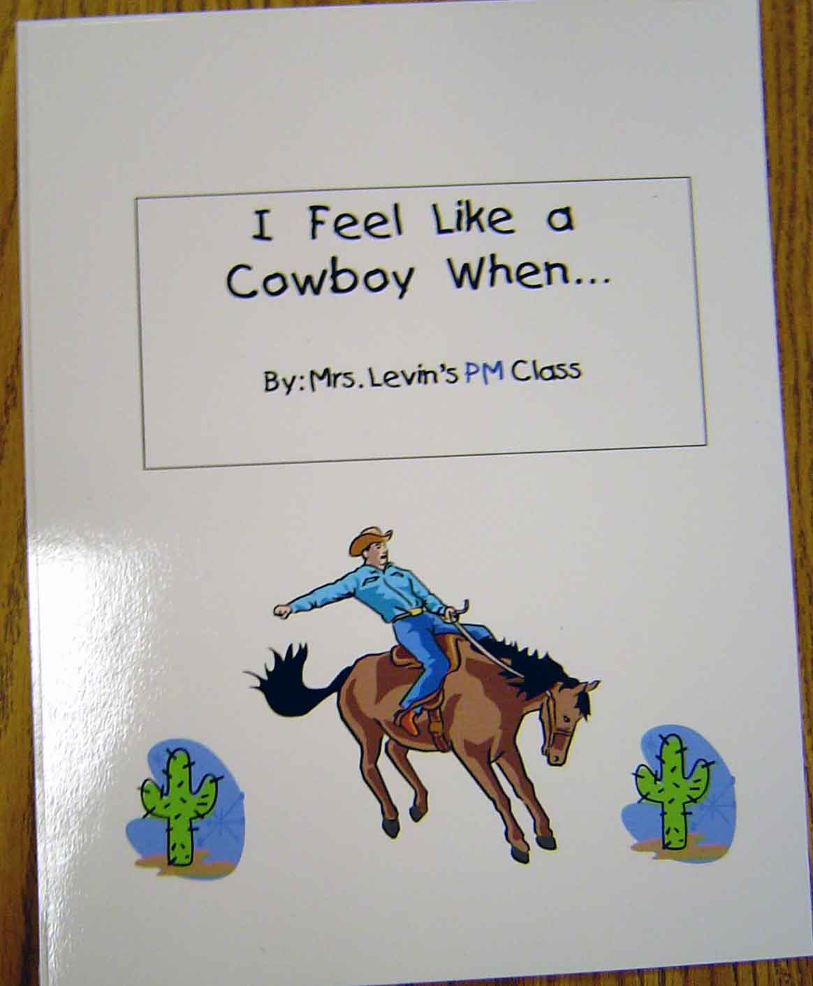 cowboy book
