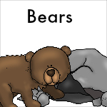 Bear Theme