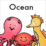 Ocean Theme