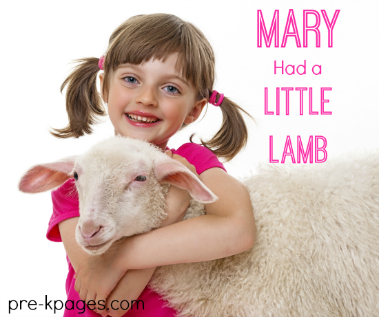 Mary Had a Little Lamb Theme for Preschool and Kindergarten
