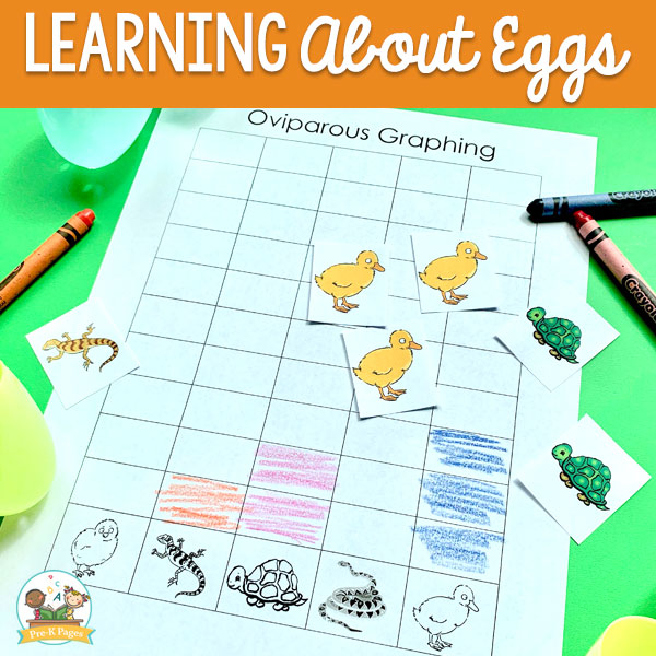 Learning About Eggs