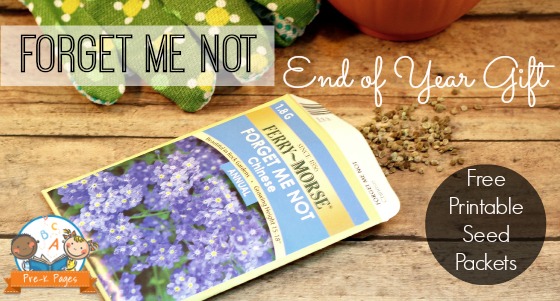 Printable Forget Me Not Seed Packets for Graduation