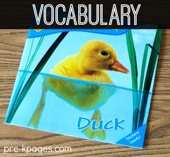 Building Vocabulary through Read Aloud in Preschool