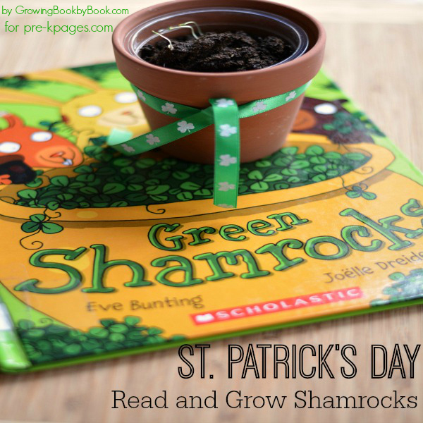 Growing Shamrocks in Preschool and Kindergarten for St. Patrick's Day