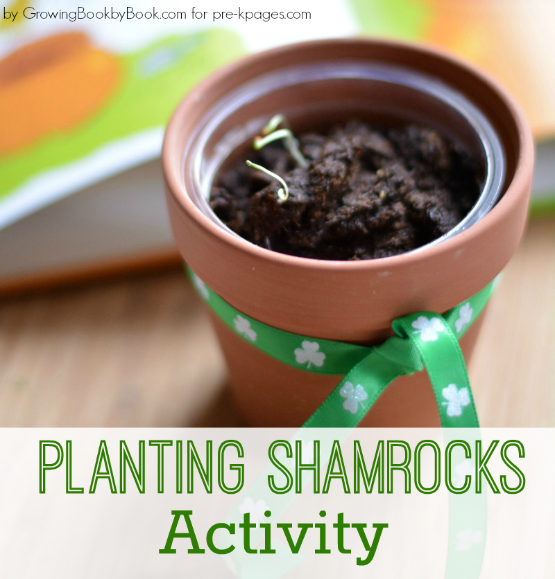 Growing Green Shamrocks Activity for Preschool