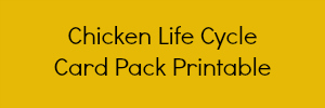 Chicken Life Cycle Printable for preschool