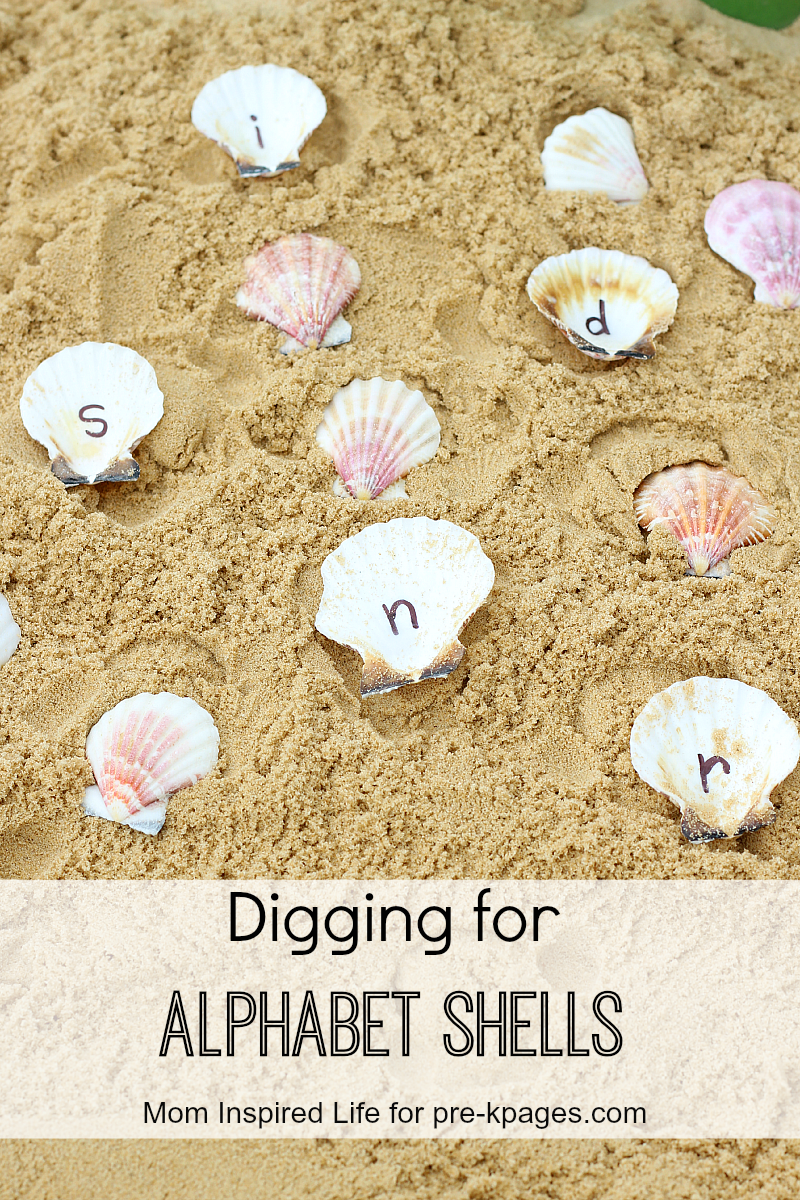 Digging-for-Alphabet-Shells.png
