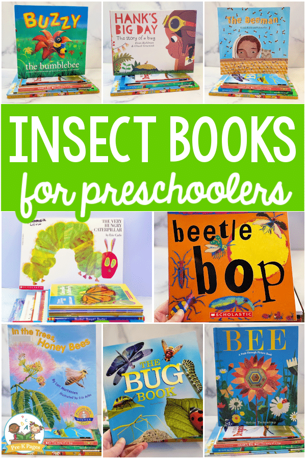 Insect Books for Preschool Kids