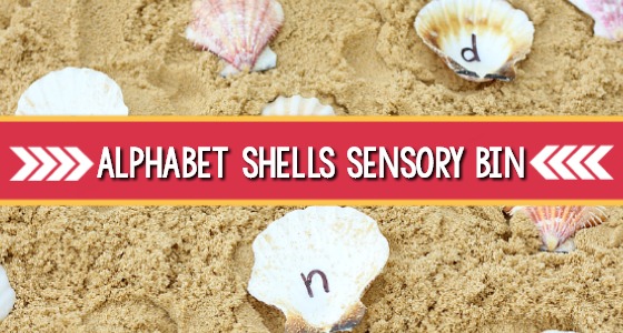 Learn the alphabet with shells