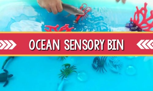 Ocean Theme Sensory Bin Idea