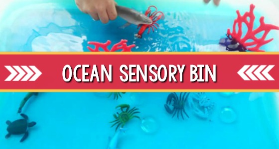 Ocean Theme Sensory Bin Idea