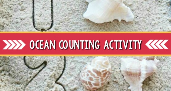 Sand and Shell Counting Activity