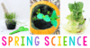 Spring Science Activities for Preschoolers
