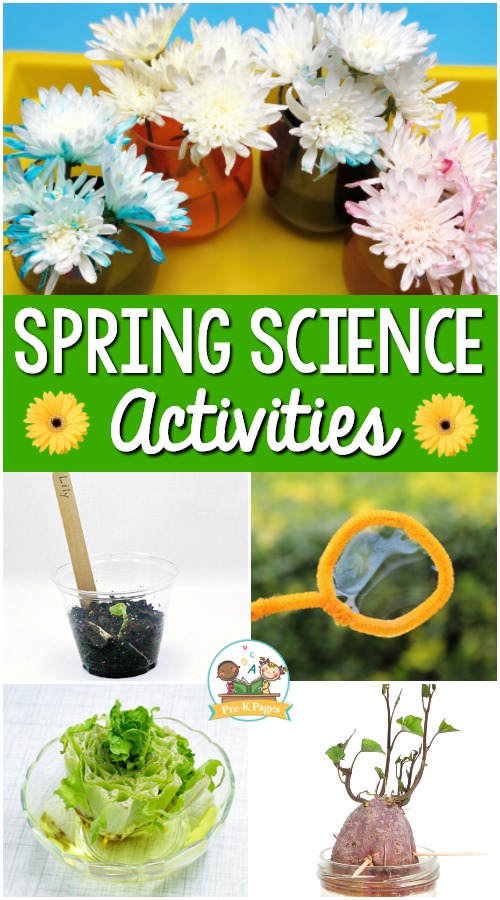 Spring Science Activities for Preschool 