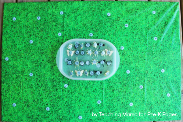 Insect alphabet game set-up