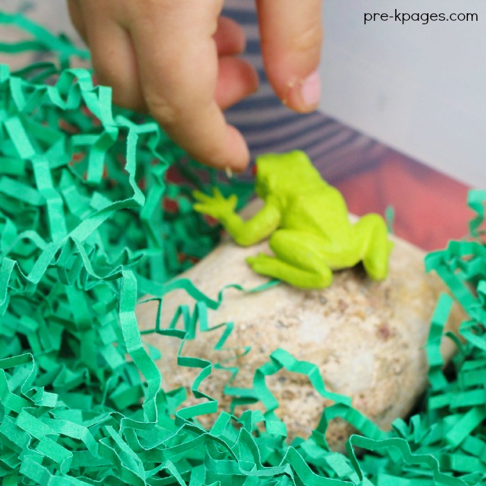 Spring Activity to Accompany In the Tall Tall Grass