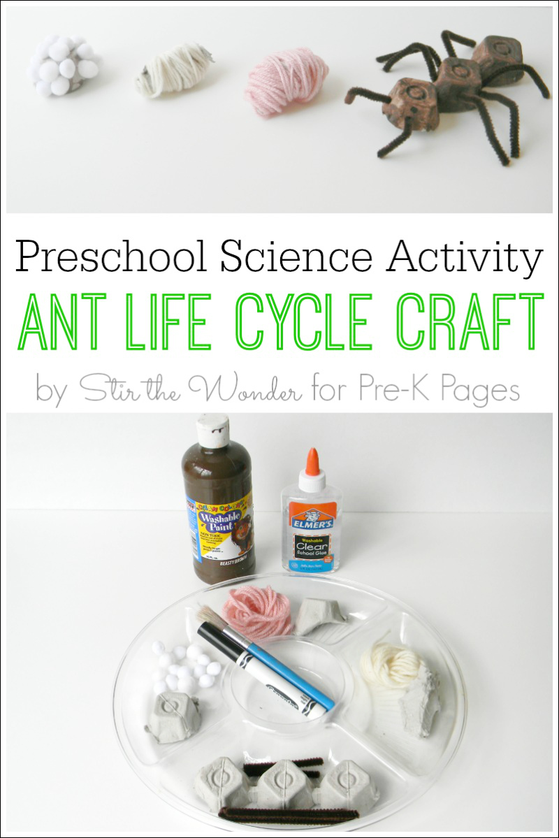 Ant Life Cycle Craft for prechool