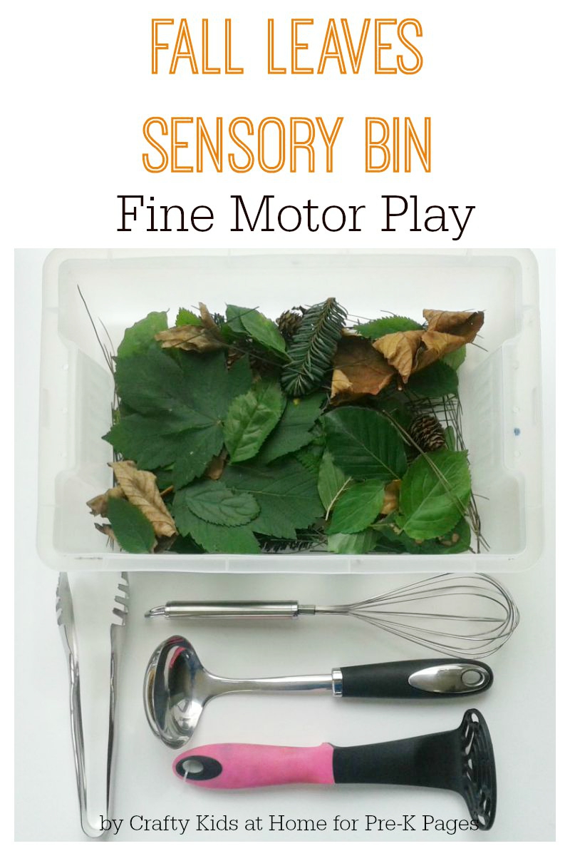 Fall Leaves Sensory Bin Fine Motor Play