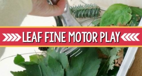 Fall Leaves Fine Motor Sensory Bin