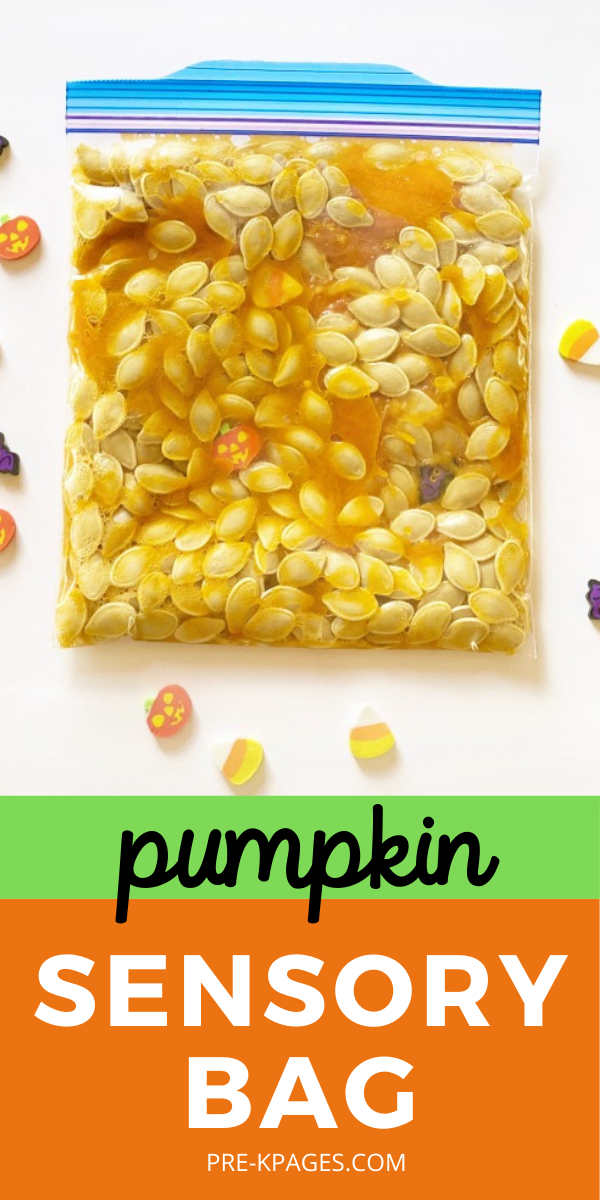 Pumpkin Sensory Bag