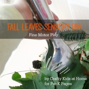 Fall Leaves Fine Motor Sensory Bin