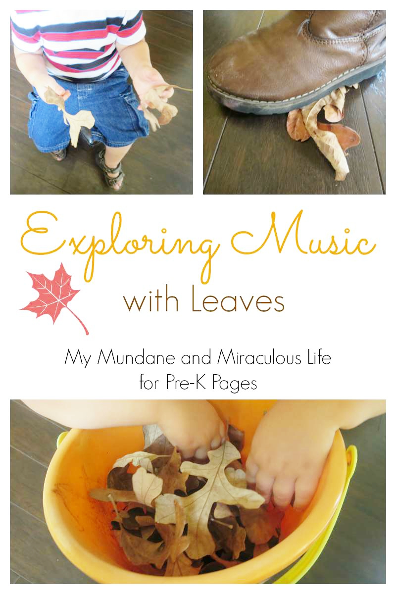 exploring music with leaves 