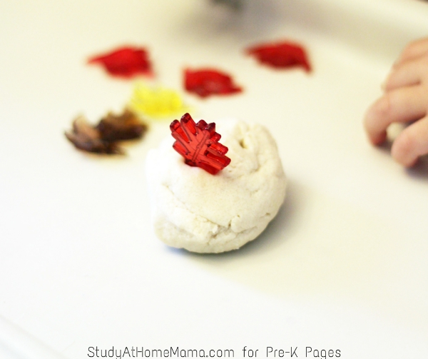 plastic leaf in play dough