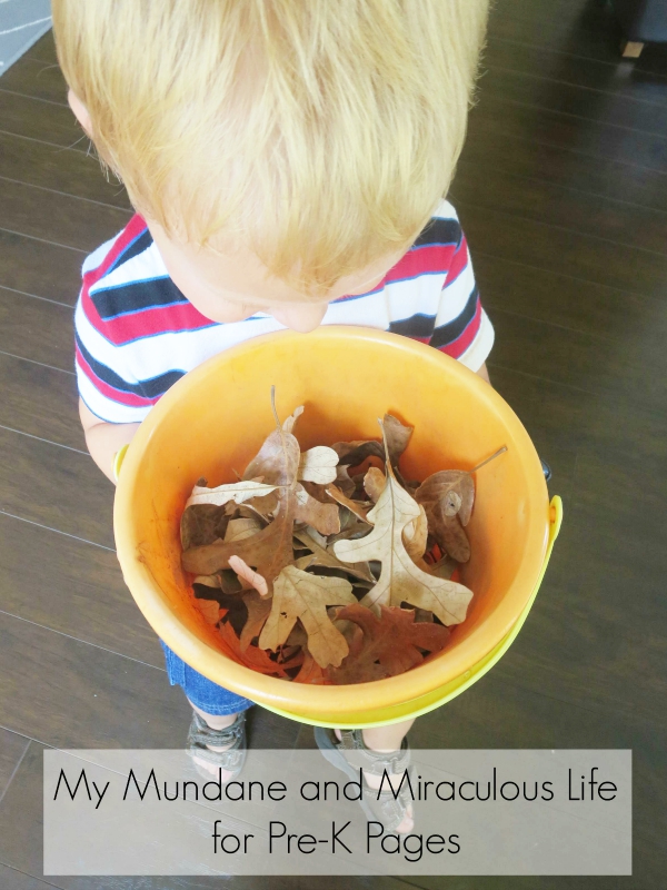 leaves in a bucket fall music