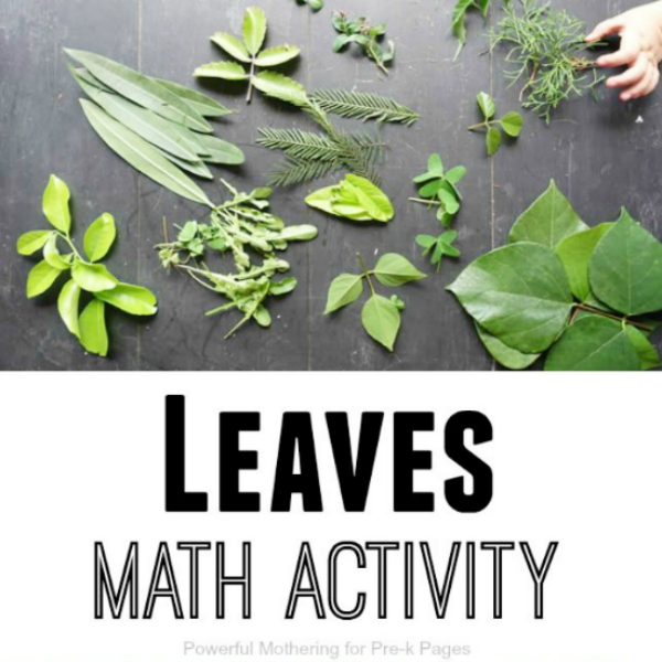 leaves math activity