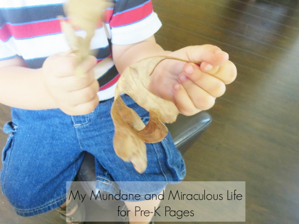 kid playing with leaves