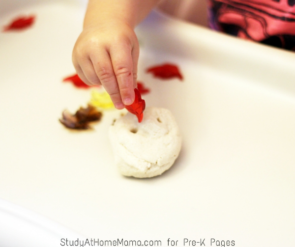 press leaf shape in play dough