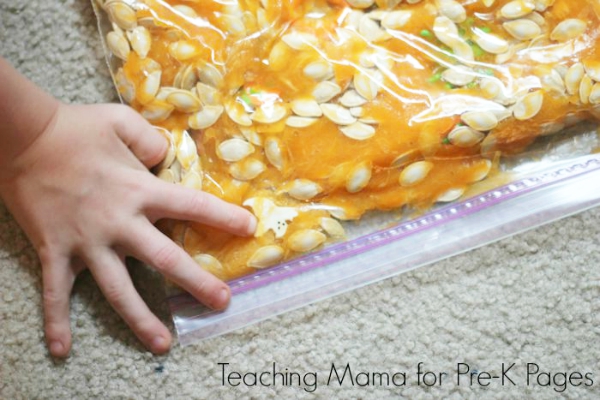 pumpkin sensory bag exploration