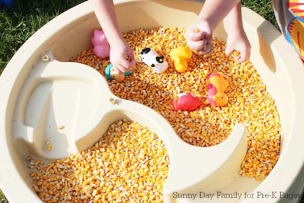 pumpkin patch corn maze sensory table