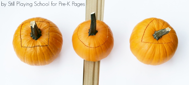 pumpkin stems cut into different shapes for painting art