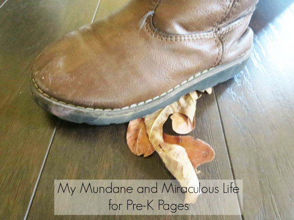 stomping on fall leaves