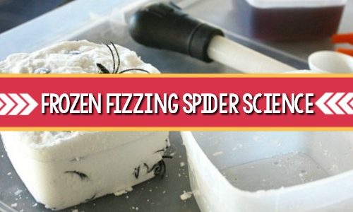 Frozen Fizzing Spider Science