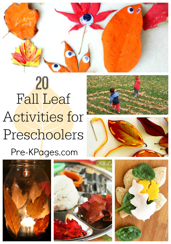 20 Fall Leaf Activities for Preschoolers