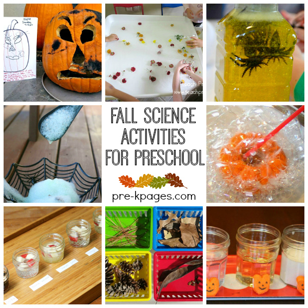 Fall Science Activities for Preschool