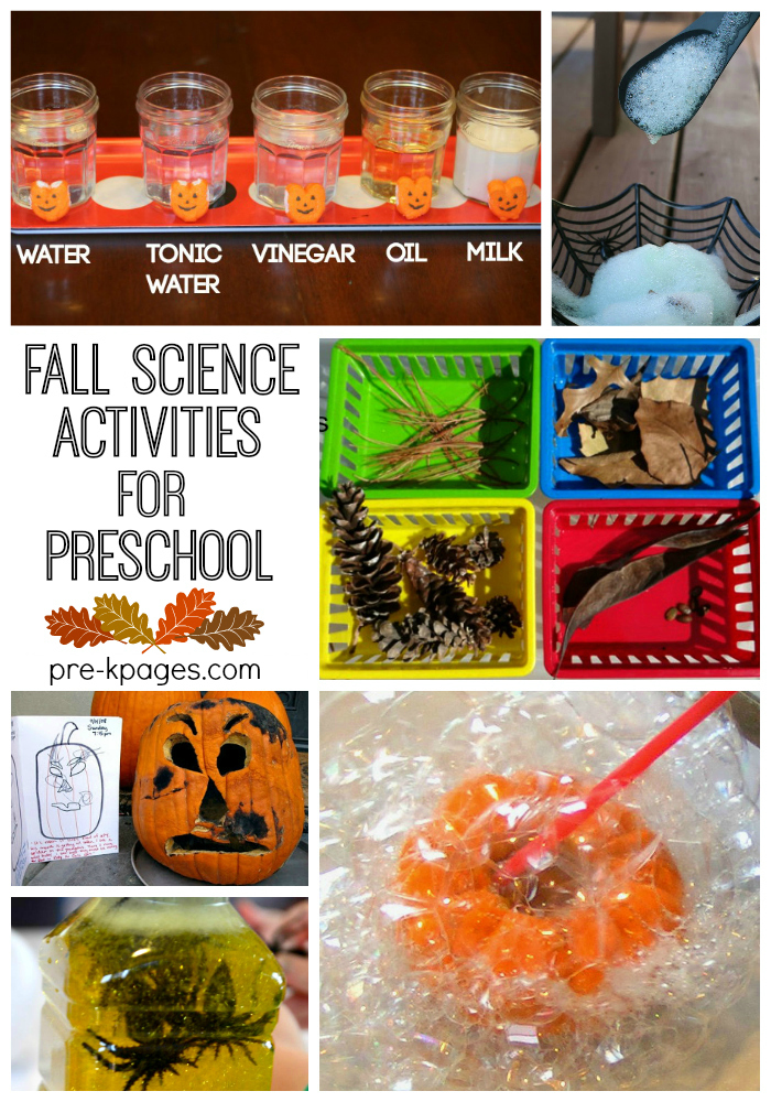 fall science activities for preschool