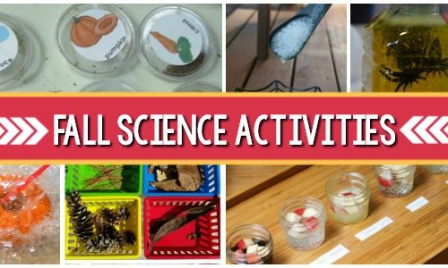 Activités scientifiques d'automne
