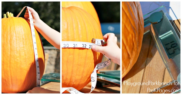 Methods of Measure pumpkin