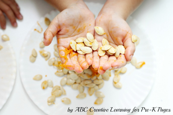 hands holding a bunch of pumpkin seeds