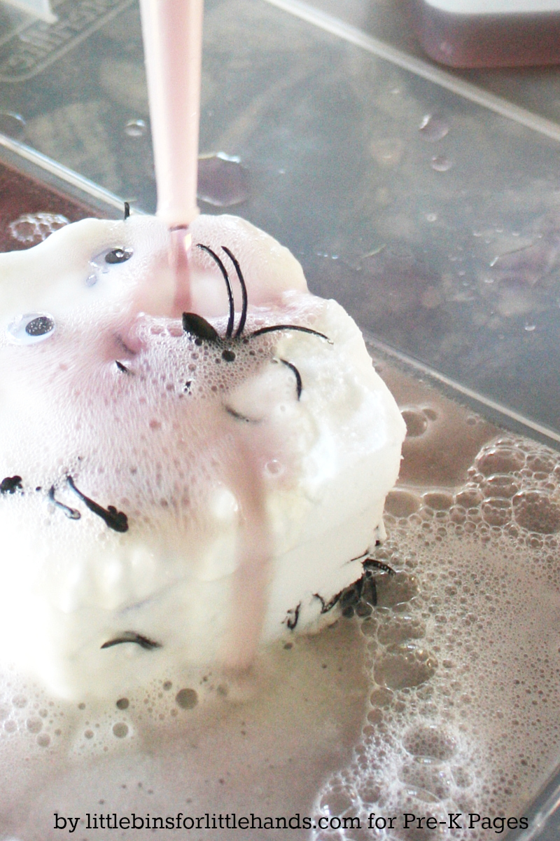 Spider Science Baking Soda Science Experiment Preschool Activity