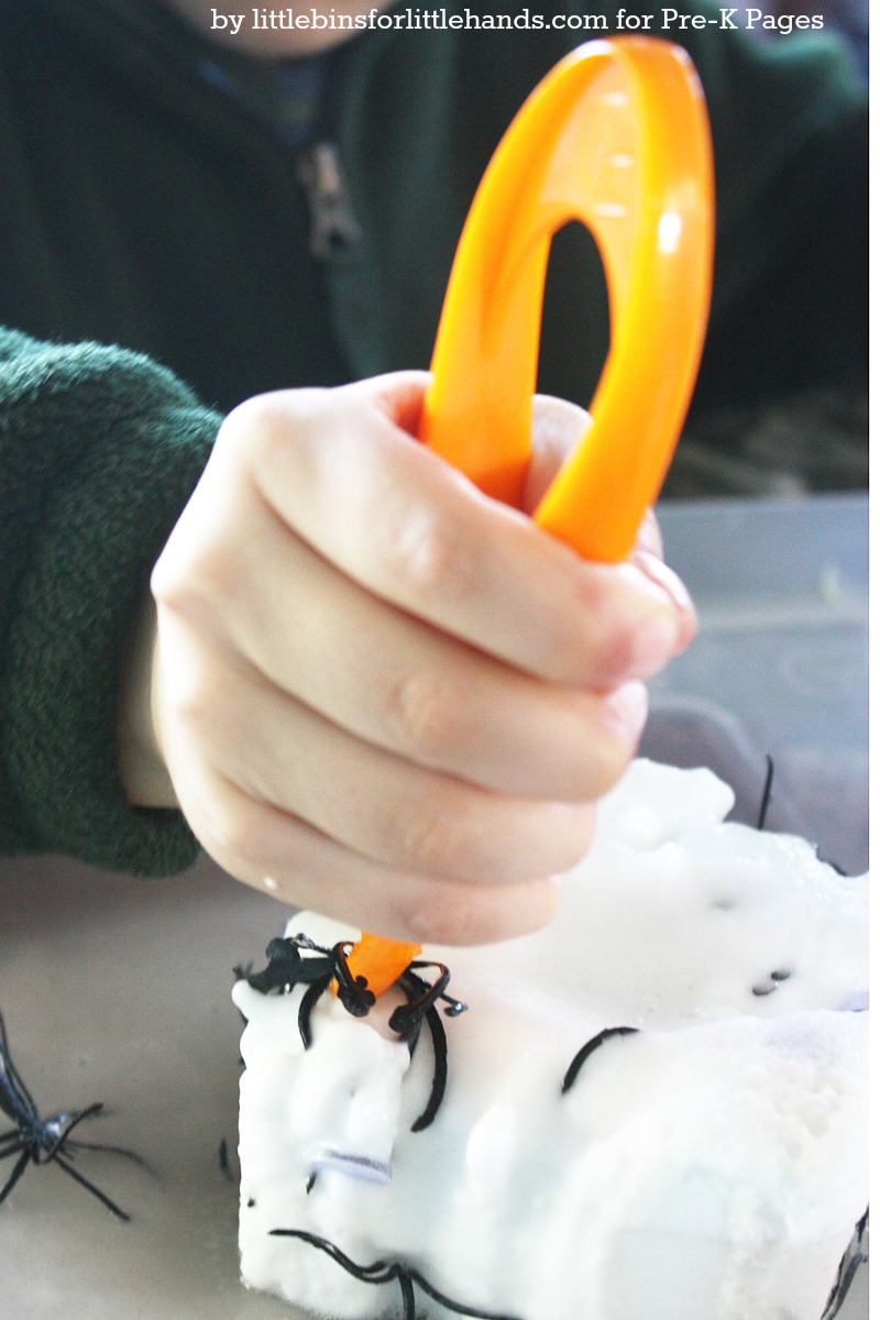 Spider Science Experimenting with Baster