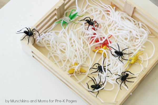 spider web exploration