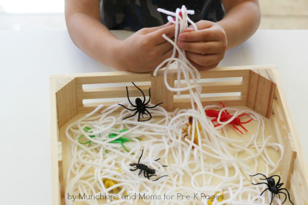 exploring spiders and webs